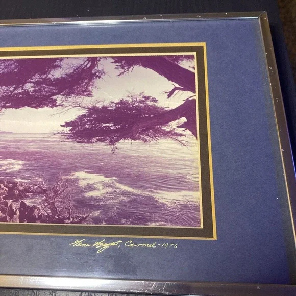 VTG RARE Gene Wright Carmel “The Lone Cypress” Photograph 1976 Signed 6x16 ORIG